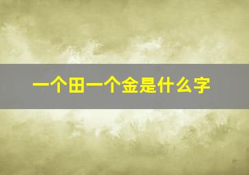 一个田一个金是什么字