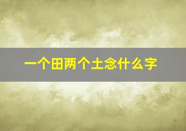 一个田两个土念什么字