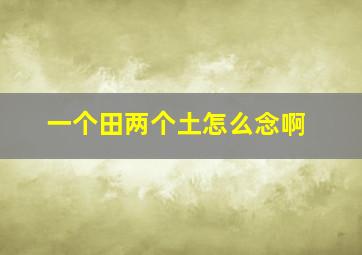 一个田两个土怎么念啊