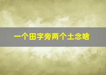 一个田字旁两个土念啥