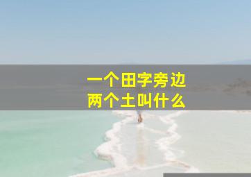 一个田字旁边两个土叫什么