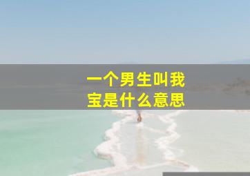 一个男生叫我宝是什么意思