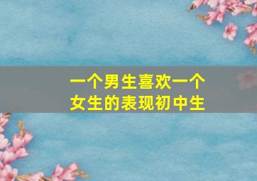 一个男生喜欢一个女生的表现初中生