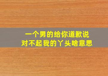 一个男的给你道歉说对不起我的丫头啥意思