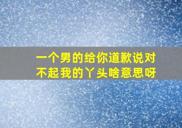 一个男的给你道歉说对不起我的丫头啥意思呀