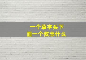 一个草字头下面一个攸念什么