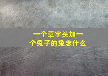 一个草字头加一个兔子的兔念什么