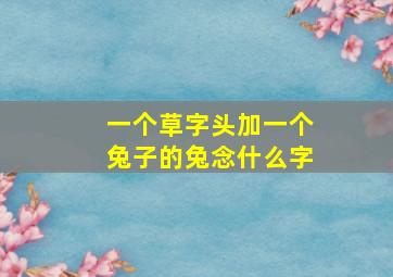 一个草字头加一个兔子的兔念什么字