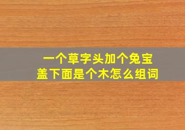 一个草字头加个兔宝盖下面是个木怎么组词