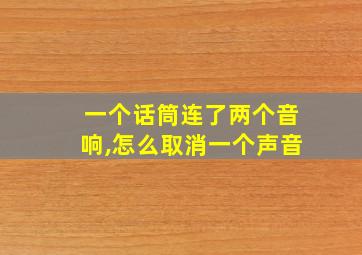 一个话筒连了两个音响,怎么取消一个声音