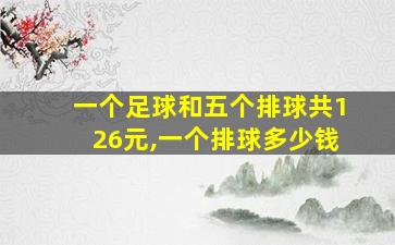 一个足球和五个排球共126元,一个排球多少钱