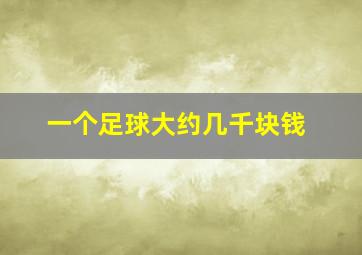 一个足球大约几千块钱