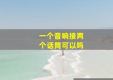 一个音响接两个话筒可以吗