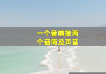 一个音响接两个话筒没声音