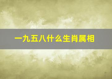 一九五八什么生肖属相