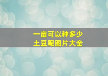 一亩可以种多少土豆呢图片大全