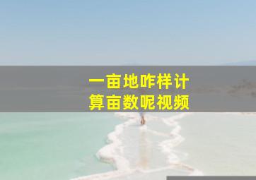 一亩地咋样计算亩数呢视频