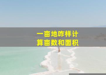 一亩地咋样计算亩数和面积