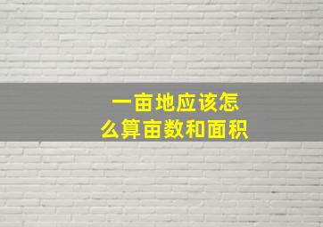 一亩地应该怎么算亩数和面积