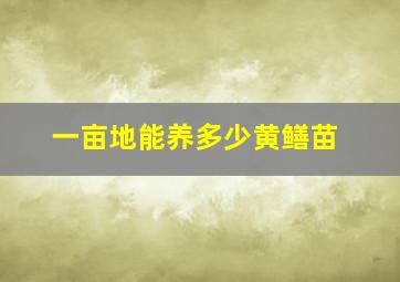 一亩地能养多少黄鳝苗