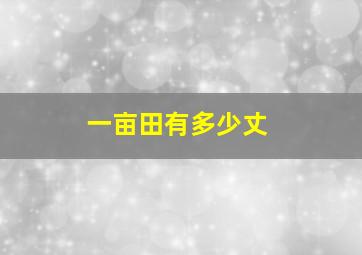 一亩田有多少丈