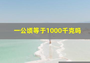 一公顷等于1000千克吗