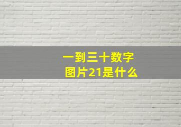 一到三十数字图片21是什么