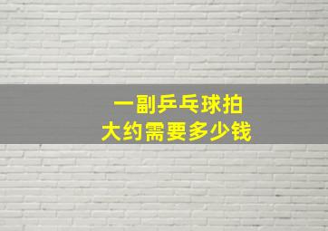 一副乒乓球拍大约需要多少钱