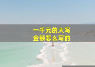 一千元的大写金额怎么写的