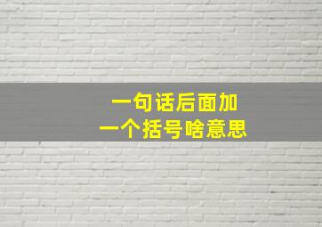 一句话后面加一个括号啥意思