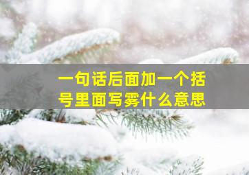 一句话后面加一个括号里面写雾什么意思