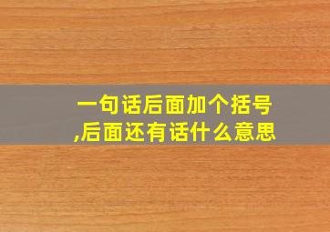 一句话后面加个括号,后面还有话什么意思