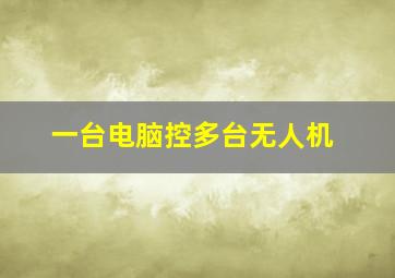 一台电脑控多台无人机