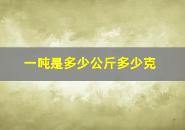 一吨是多少公斤多少克