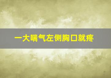 一大喘气左侧胸口就疼