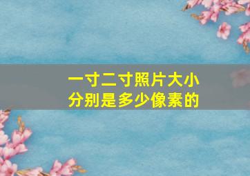 一寸二寸照片大小分别是多少像素的