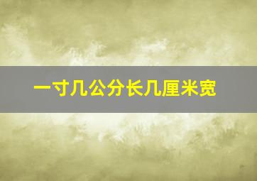 一寸几公分长几厘米宽