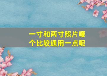 一寸和两寸照片哪个比较通用一点呢