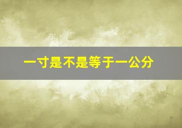 一寸是不是等于一公分