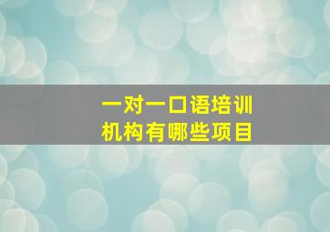 一对一口语培训机构有哪些项目