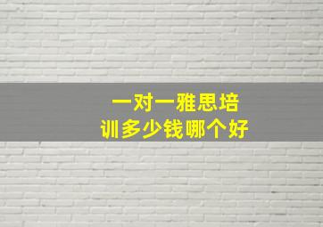 一对一雅思培训多少钱哪个好