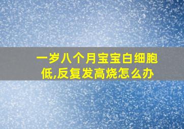 一岁八个月宝宝白细胞低,反复发高烧怎么办