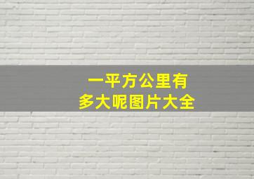 一平方公里有多大呢图片大全