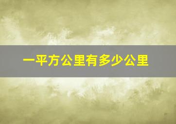 一平方公里有多少公里