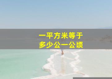 一平方米等于多少公一公顷