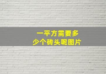 一平方需要多少个砖头呢图片