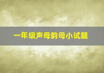 一年级声母韵母小试题