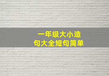 一年级大小造句大全短句简单