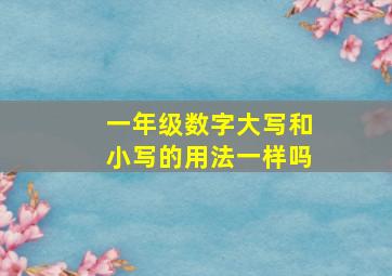 一年级数字大写和小写的用法一样吗