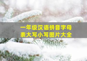 一年级汉语拼音字母表大写小写图片大全